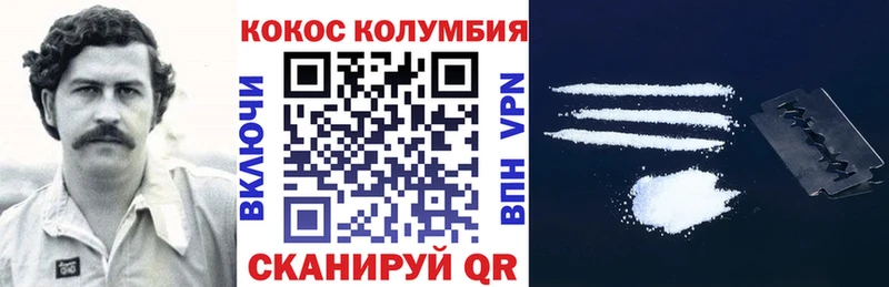 Cocaine FishScale  Купить закладки  Луга 