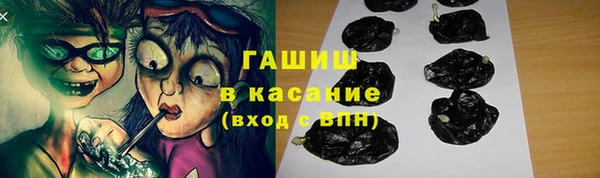 гидра Бородино