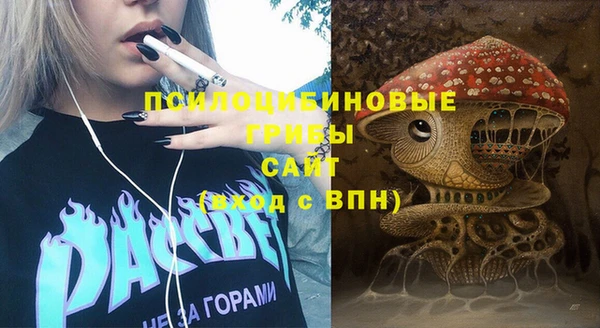 дмт Бронницы