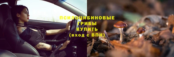 гидра Бородино