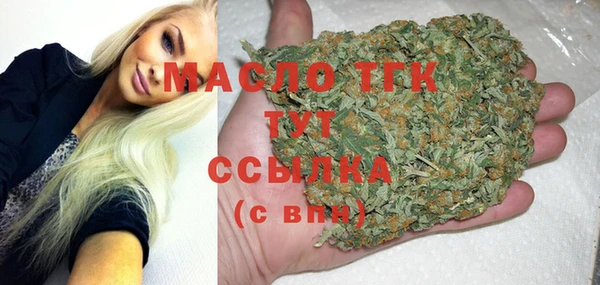 гидра Бородино