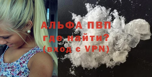 гидра Бородино
