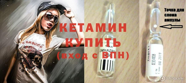гидра Бородино