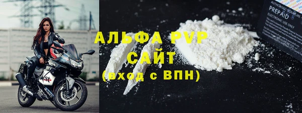 гидра Бородино
