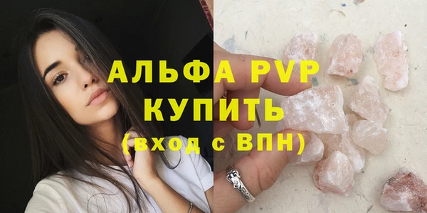 гидра Бородино
