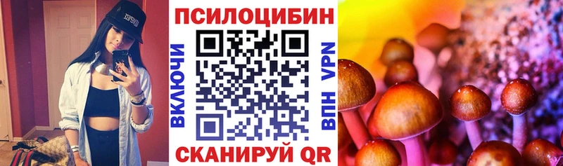 Купить  Луга  Псилоцибиновые грибы мицелий 